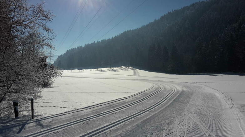 Gmunder Zubringer zur Wiesseer Loipe