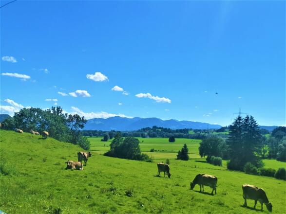Ferienwohnung Edelweiss, Heidi 7