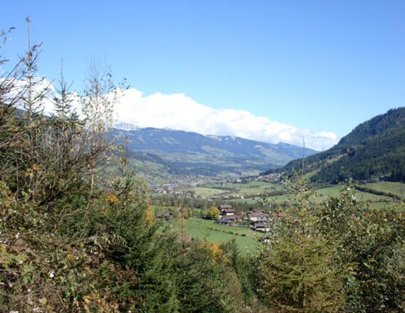 Abstieg nach Weyer zur Weyer-Ruine