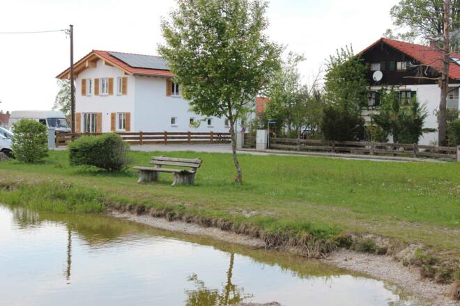 Der Weiher mit Enten, Fischen und Fröschen