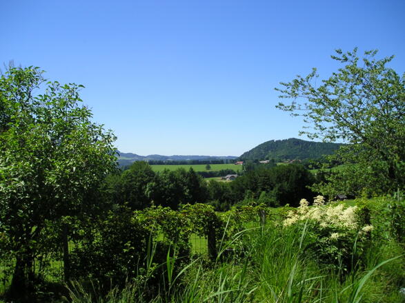 Ausblick vom Gastgarten