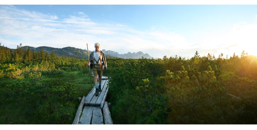 Löckermoos in Gosau am Dachstein