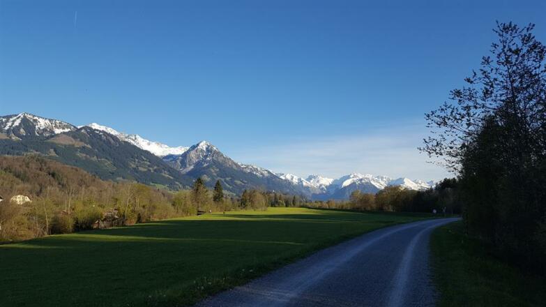 Blick auf Rubihorn von Illerdamm