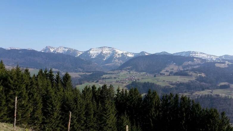 Nagelfluhkette mit unserem Hausberg Hochgrat