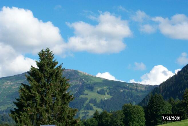 Blick von der Wohnung zum Hochgrat im Sommer