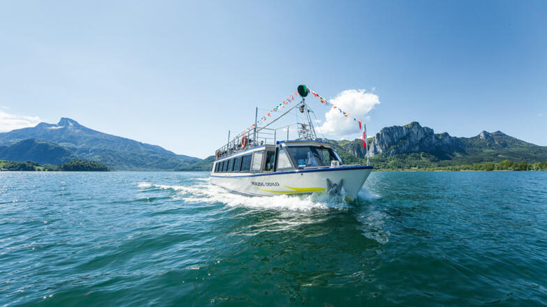 Mondsee Schifffahrt Hemetsberger