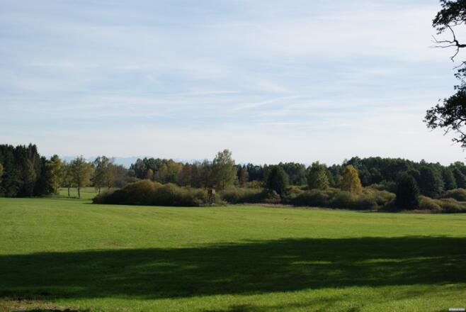 Pflaumdorfer Moos und Alpenpanorama