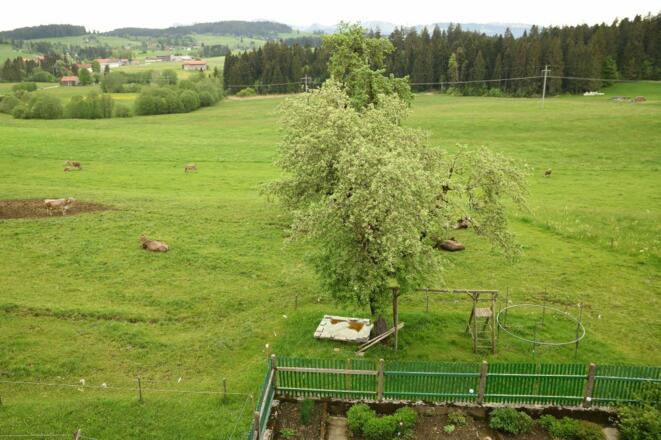 Ausblick vom Hof