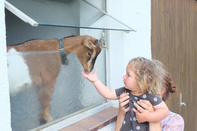 Hallo, wer schaut denn da raus