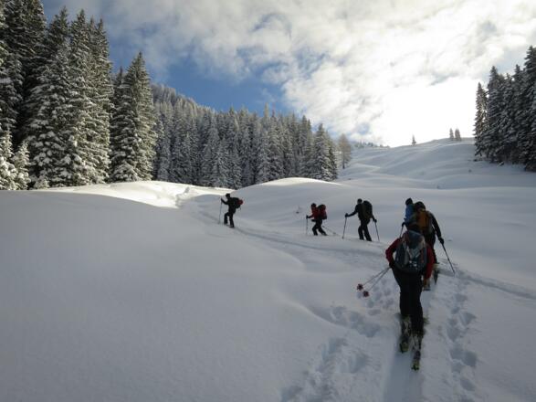 ... gelangt auf die nächste große Lichtung, die ...