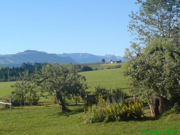 Blick vom Balkon - Teilansicht