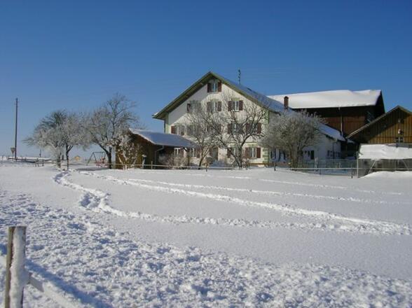 Wunderschön ist es bei uns natürlich auch im Winter