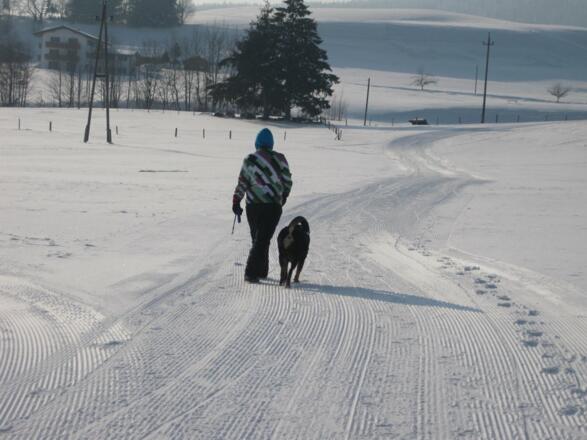 Unser Winterwanderweg
