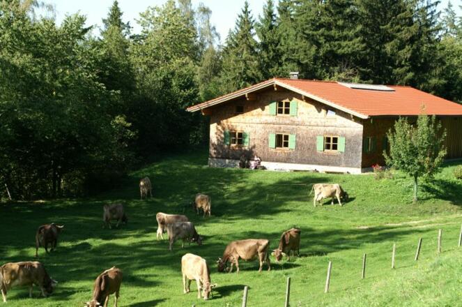 Berghütte Lingg