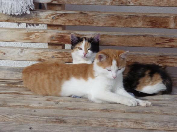 so kann man&#039;s aushalten