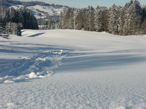 Rodelspass direkt am Haus