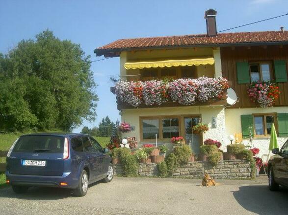 Nico bewacht das Haus und wartet auf Gäste.