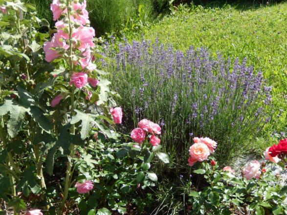 Impression aus Garten, Haus Anton Obermaiselstein