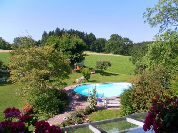 Garten mit Pool