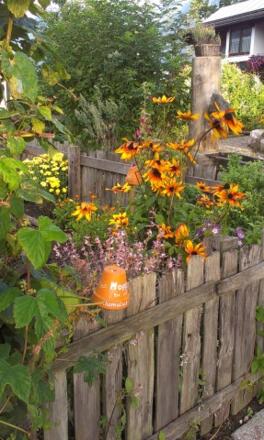 Hildegard von Bingen Garten