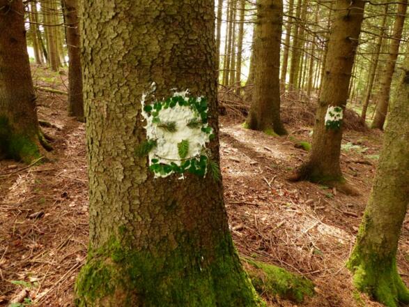 Huhu, wir machen Waldgeister.