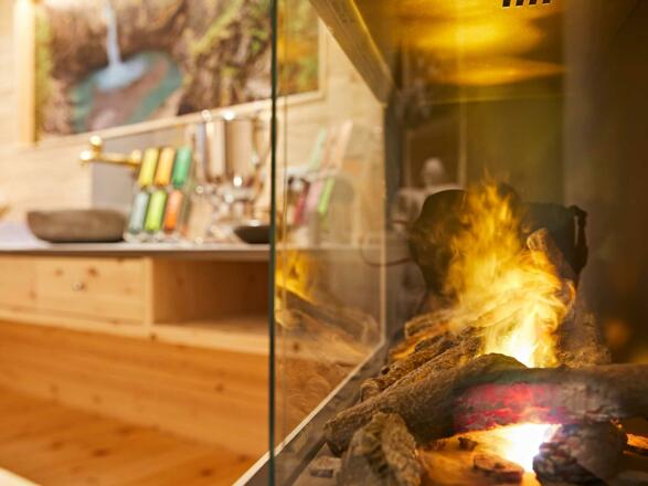 spa_teestation_kamin_hotel_birkenhof_oberstaufen_a