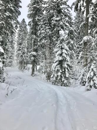 Ruhe genießen beim Wandern, gerne mit Schneeschuhe