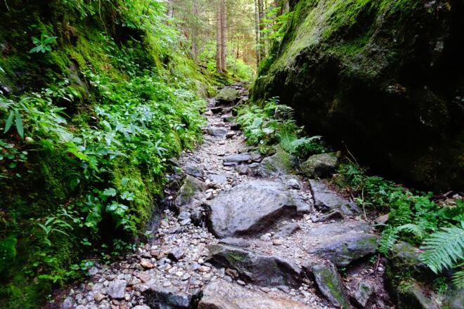 Auf dem alten Tauernweg
