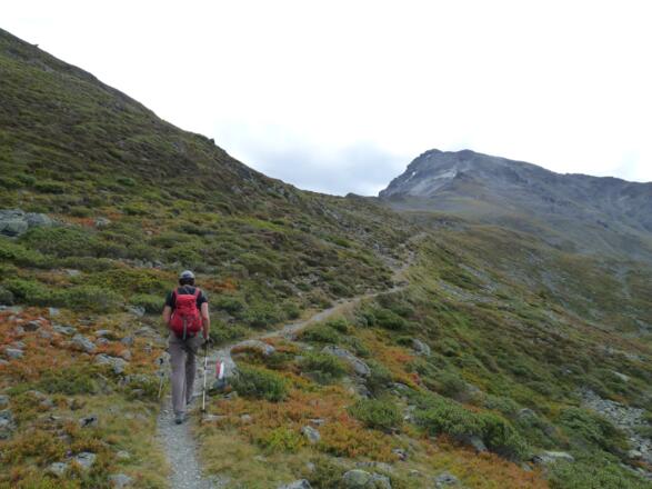 Bis zum Lehner Joch ist es nicht mehr weit und auch der Nördl. Lehner Grieskogel ist bereits sichtbar.