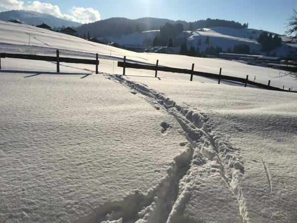 Direkter Zugang zur Langlaufloipe