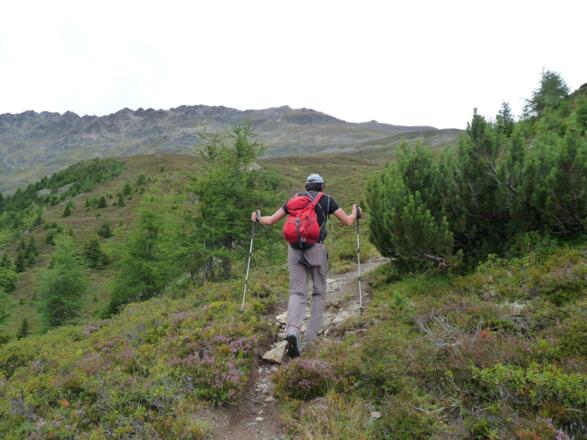 Die Baumgrenze ist erreicht und die schönen Hänge der Oberlehner Alpe treten in den Vordergrund.