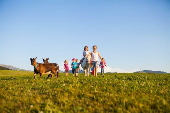Pony Fatima mit Ziegen Hanni und Nanni