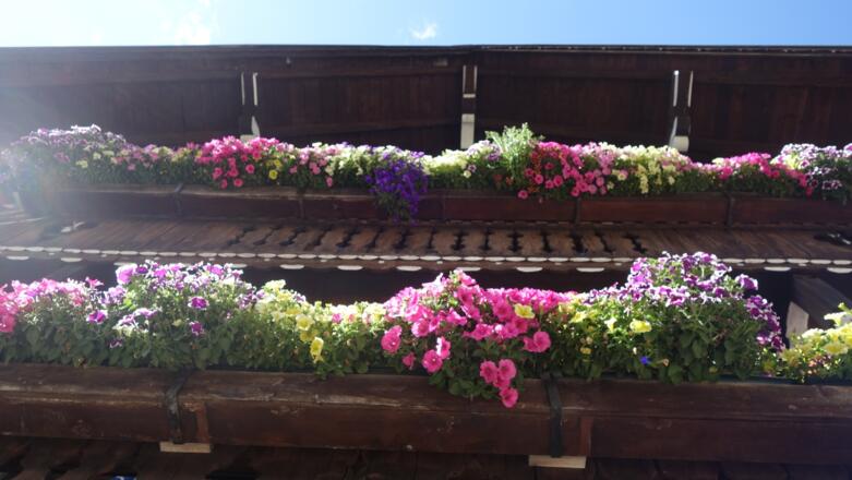 Alpengasthof Loas (Südseite)