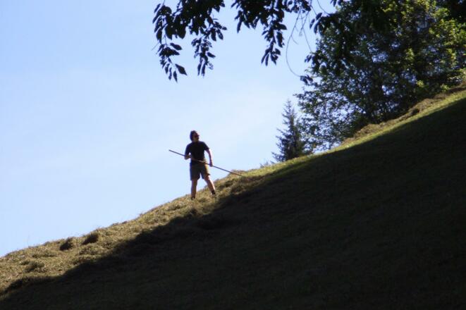 &quot; Hoib`ä &quot;