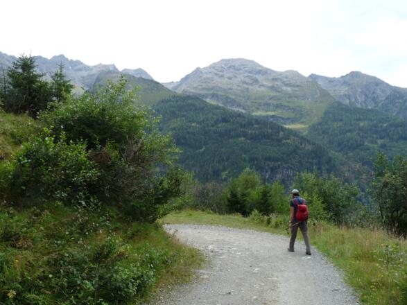 Eine Forststraße verbindet den Auf- und Abstiegsweg.