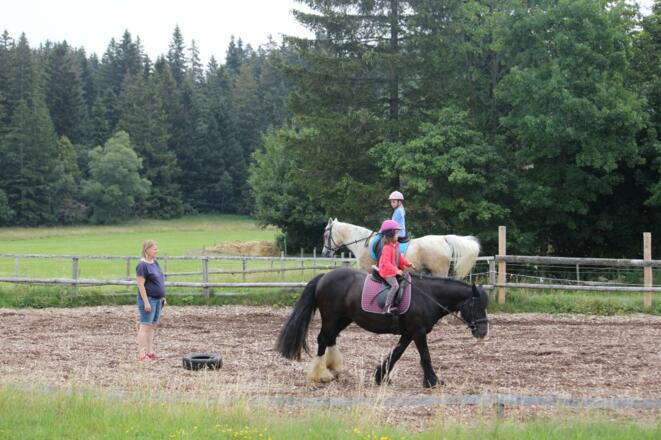 Reiten unter Anleitung