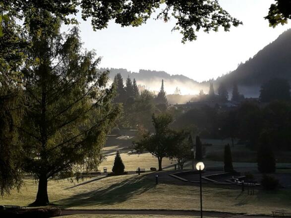 Kurpark am Morgen