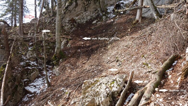 Ausstieg Rinne links um 1015m, direkter Pfad rechts