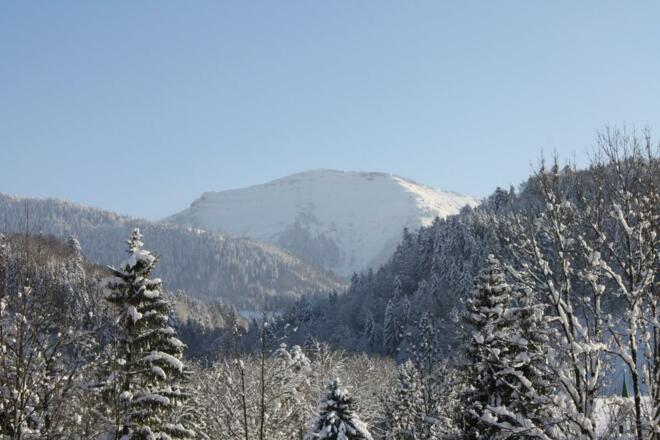 Blick von Ihrem Balkon