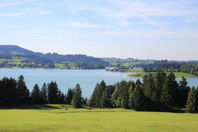 Der Forggensee zu Fuß erreichbar