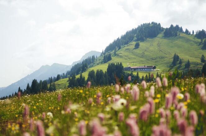 Blick vom Windbuckel