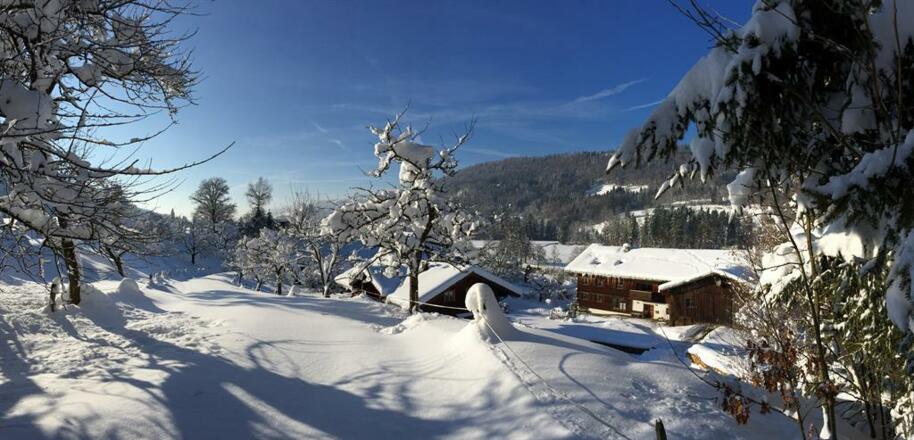 Blick auf Steinebach