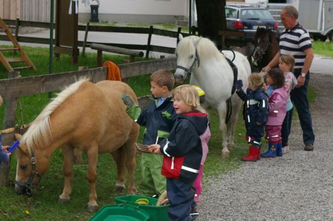 Ein riesen Spaß - unsere Pony´s putzen
