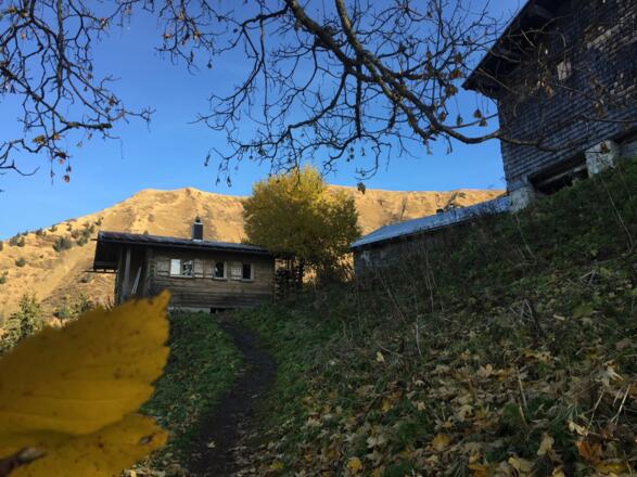Herbst Riezler Alp