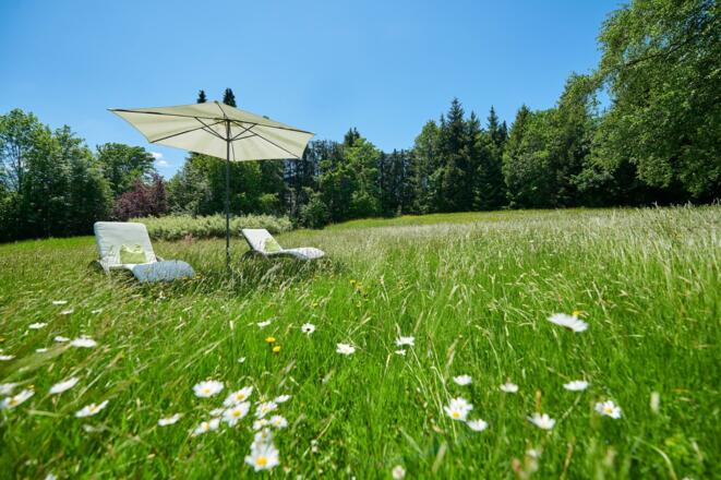 Garten &quot;Grüne Oase&quot;