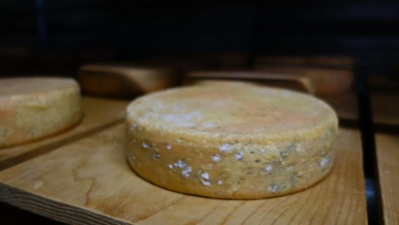 Wieserhütte (Käserei)