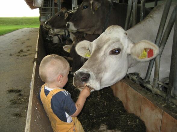 Bei uns im Stall - Landwirtschaft hautnah erleben