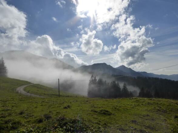 Wanderung Sennalpe Mittelberg Bild 1