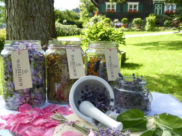 unser Kräutertee - ganz frisch!