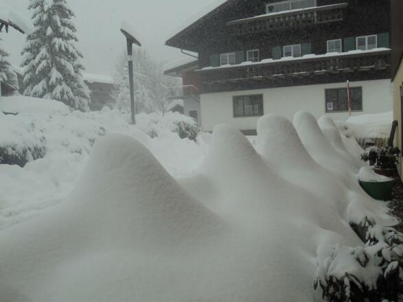 Bäumchen unter Schnee